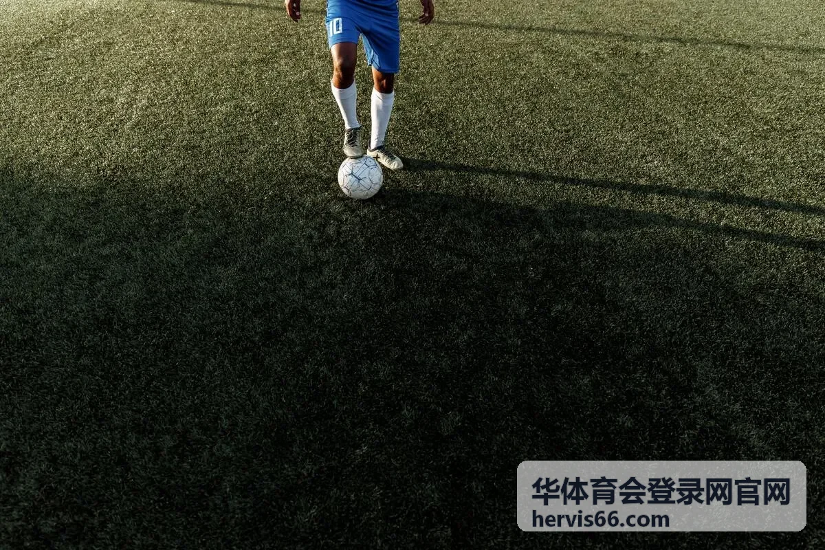 华体育会登录网官网会籍权益与续费提醒说明配图