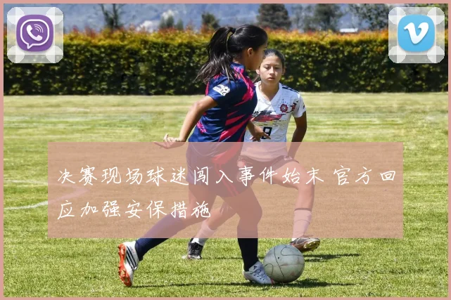 决赛现场球迷闯入事件始末 官方回应加强安保措施