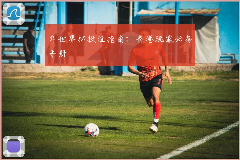 年世界杯投注指南：香港玩家必备手册