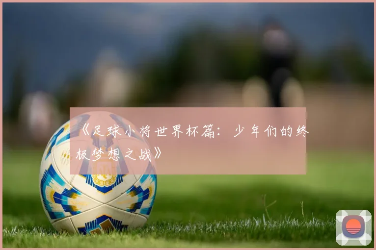 《足球小将世界杯篇：少年们的终极梦想之战》