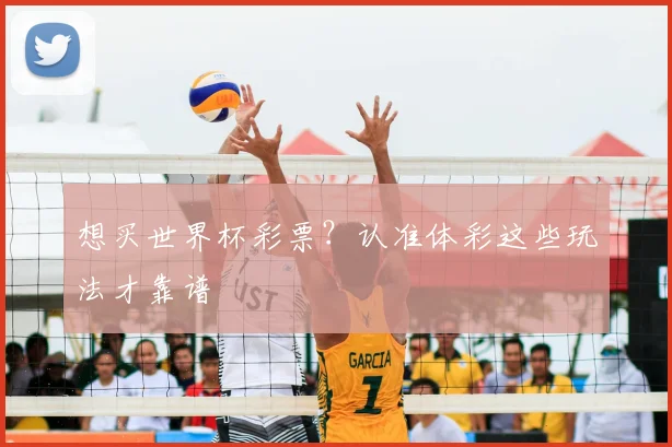 想买世界杯彩票？认准体彩这些玩法才靠谱