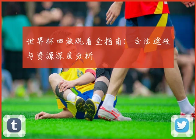 世界杯回放观看全指南：合法途径与资源深度分析