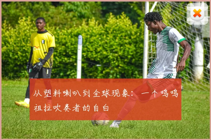 从塑料喇叭到全球现象：一个呜呜祖拉吹奏者的自白