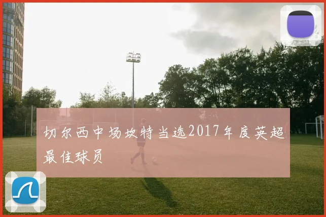 切尔西中场坎特当选2017年度英超最佳球员